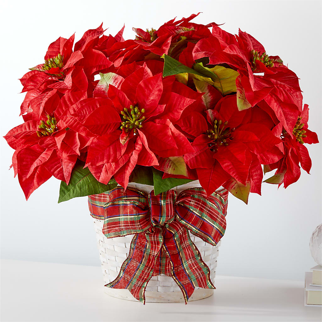 Happiest Holidays Poinsettia – Babes Floral Design Llc, Old Fort NC
