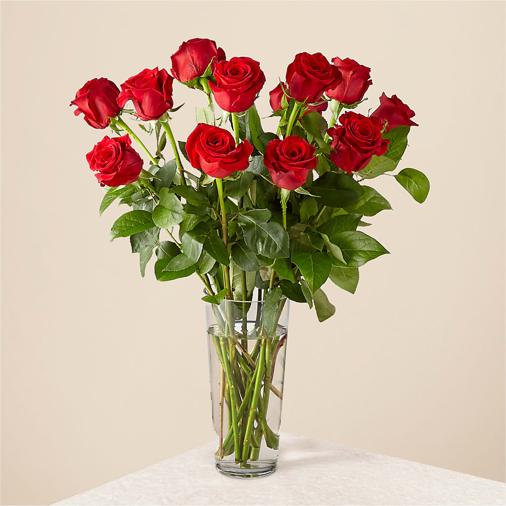 Long Stem Red Rose Bouquet – Babes Floral Design Llc, Old Fort NC