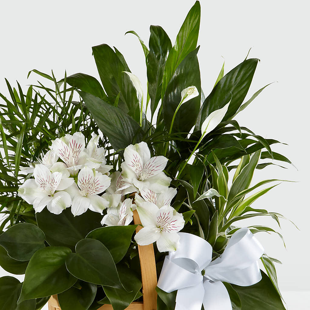 Peace & Serenity Dishgarden – Babes Floral Design Llc, Old Fort NC