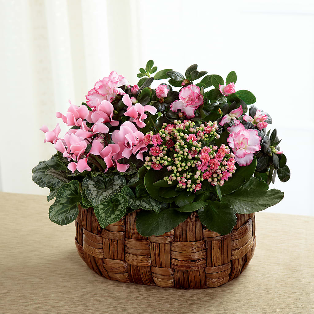 Pink Assortment – Babes Floral Design Llc, Old Fort NC