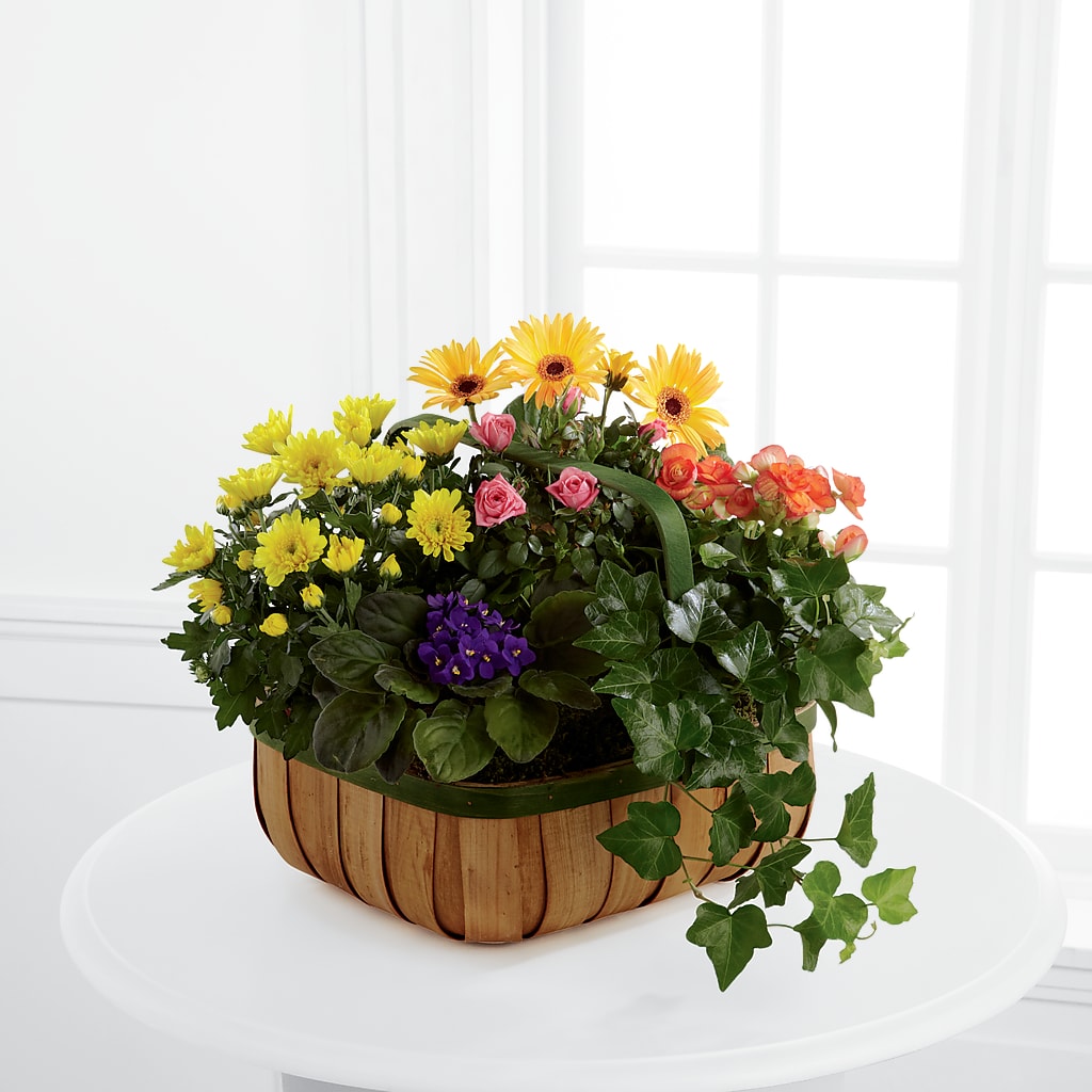 Gentle Blossoms Basket – Babes Floral Design Llc, Old Fort NC