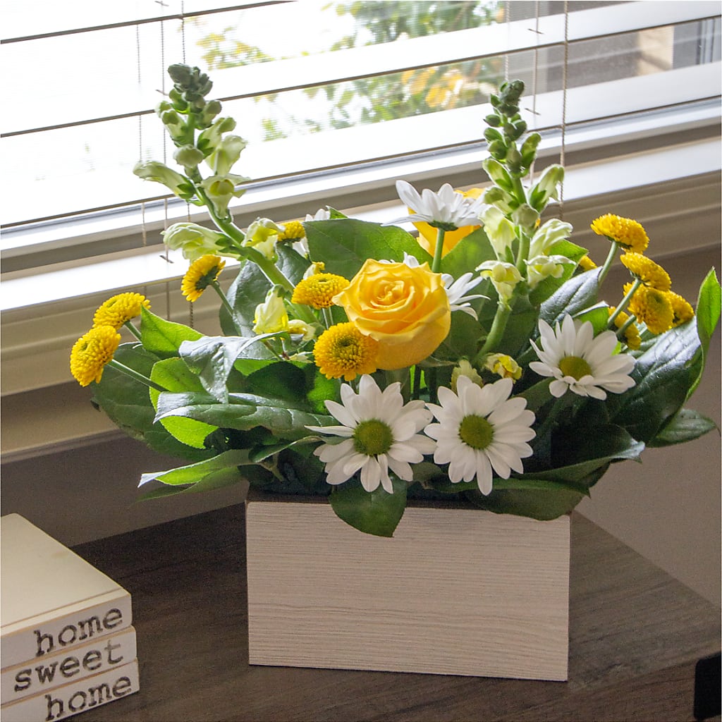 Sun Salutation Box Bouquet – Babes Floral Design Llc, Old Fort NC