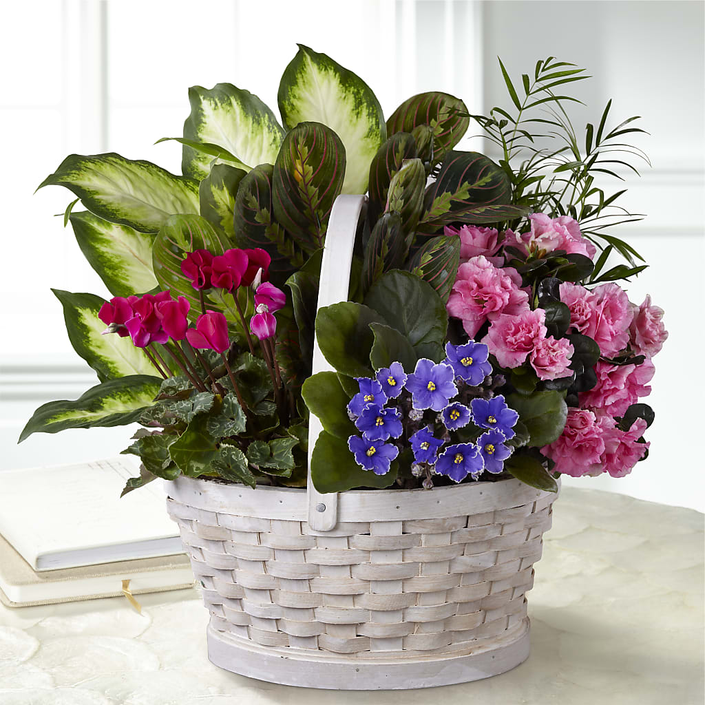 Peaceful Garden Planter – Babes Floral Design Llc, Old Fort NC