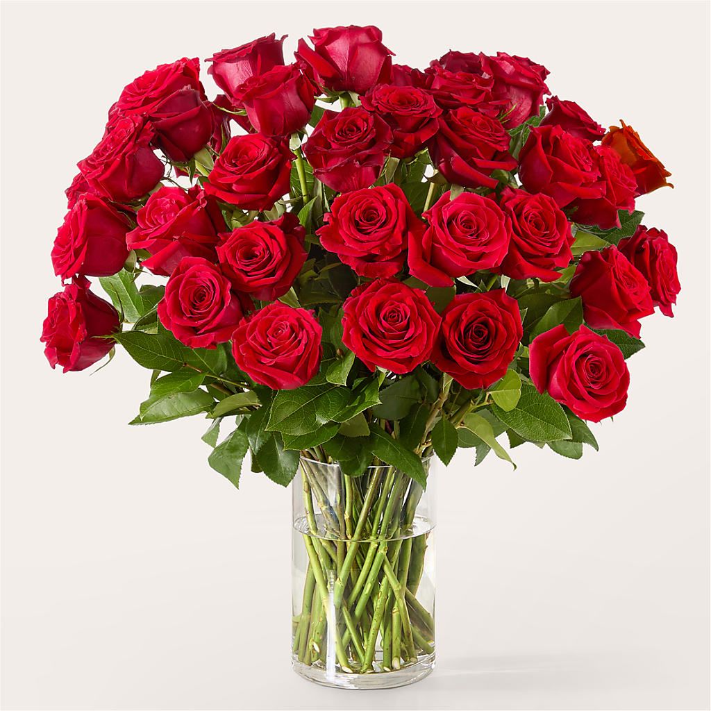 The One Red Rose Bouquet – Babes Floral Design Llc, Old Fort NC