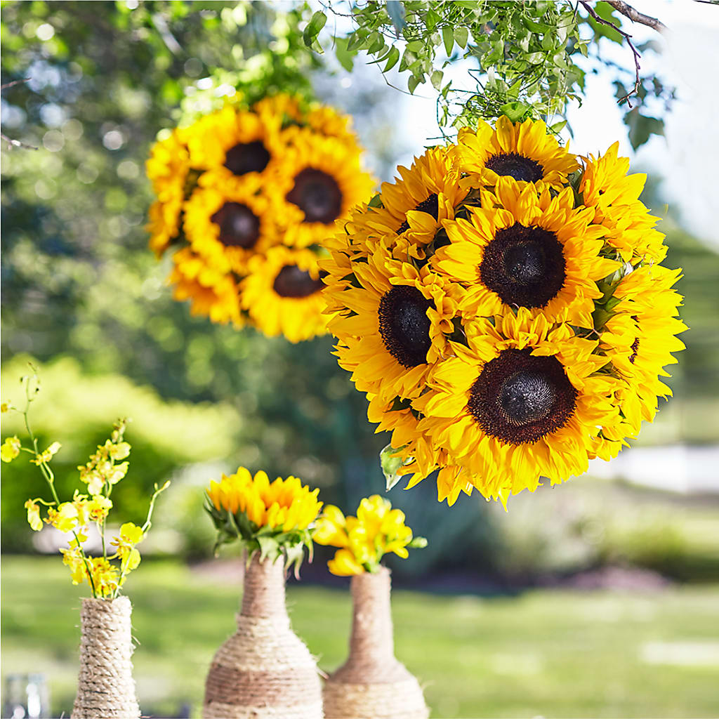 Sublime Garden Hanging Arrangement – Babes Floral Design Llc, Old Fort NC