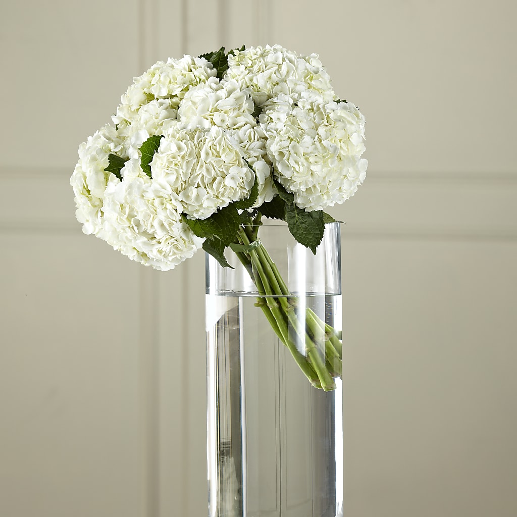 White Hydrangea Hand-Tied Bouquet – Babes Floral Design Llc, Old Fort NC