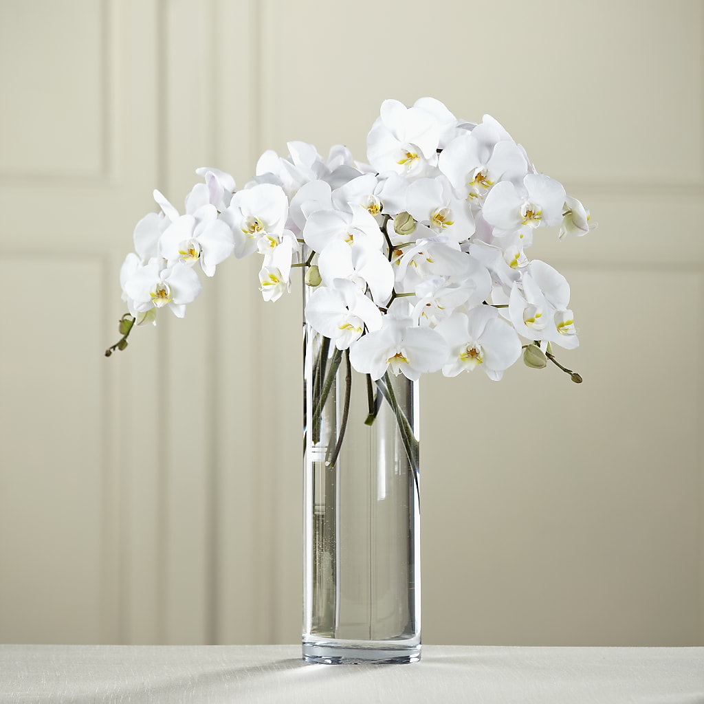 White Phalaenopsis Bouquet – Babes Floral Design Llc, Old Fort NC