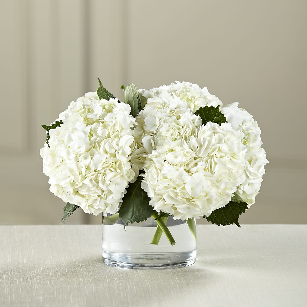 White Hydrangea Bouquet – Babes Floral Design Llc, Old Fort NC