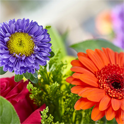 Bold & Bright – A Florist Original –  Babes Floral Design Llc, Old Fort NC