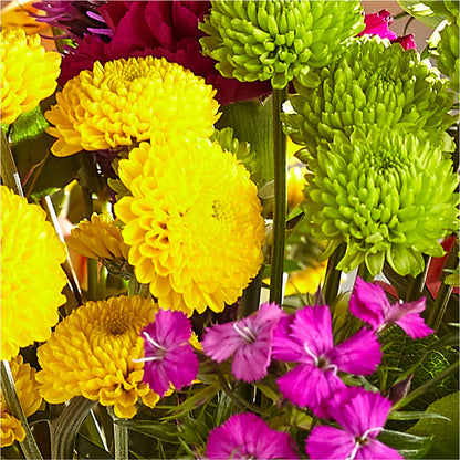 Bold & Bright – A Florist Original –  Babes Floral Design Llc, Old Fort NC