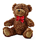 Adorable Plush Bear –  Babes Floral Design Llc, Old Fort NC