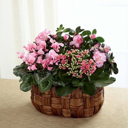 Pink Assortment –  Babes Floral Design Llc, Old Fort NC