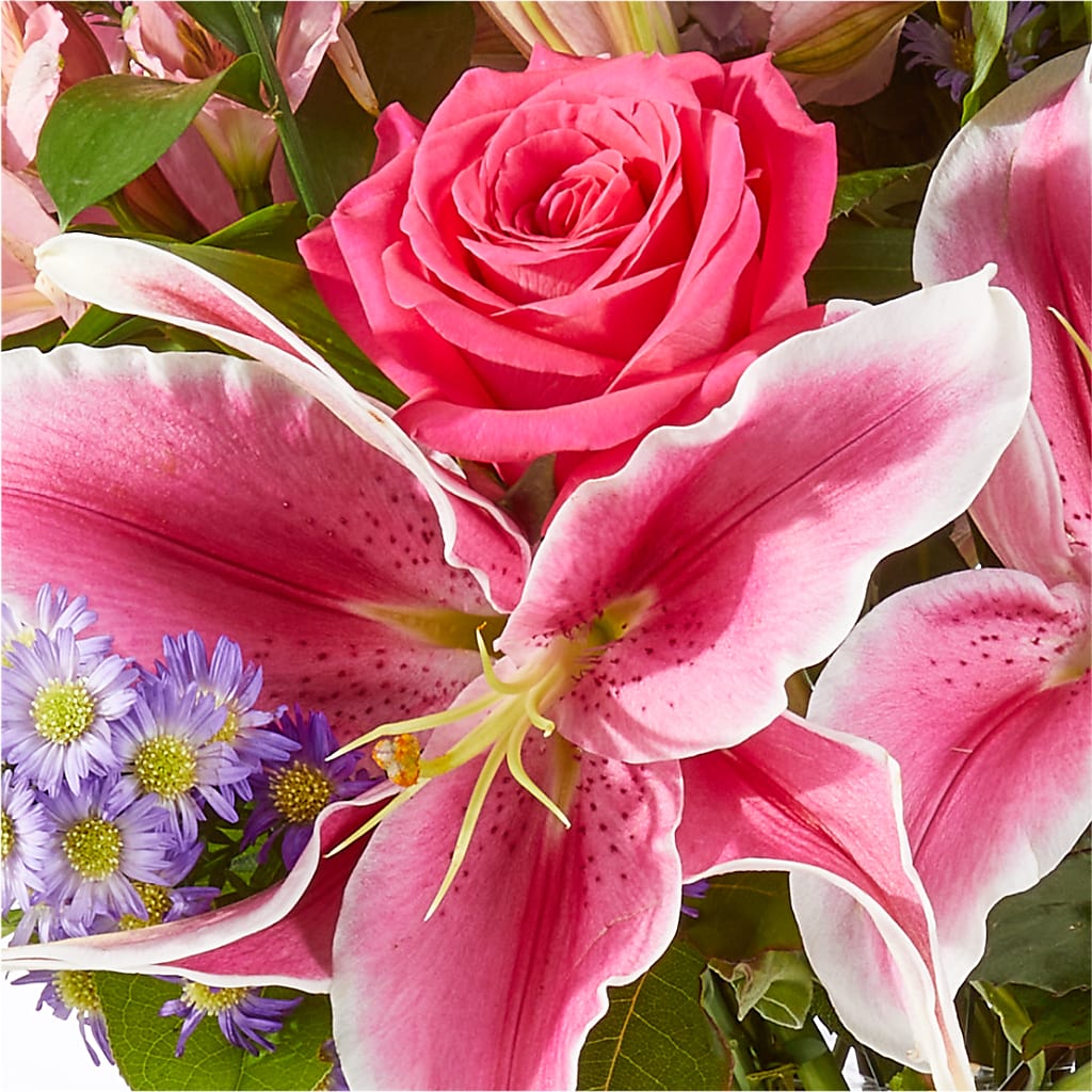 Written in the Stars Bouquet –  Babes Floral Design Llc, Old Fort NC