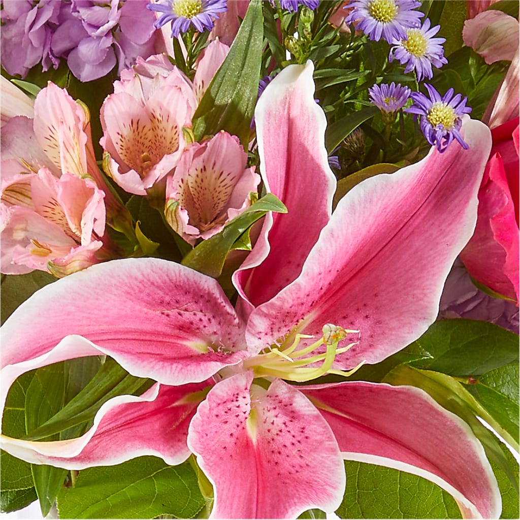Written in the Stars Bouquet –  Babes Floral Design Llc, Old Fort NC