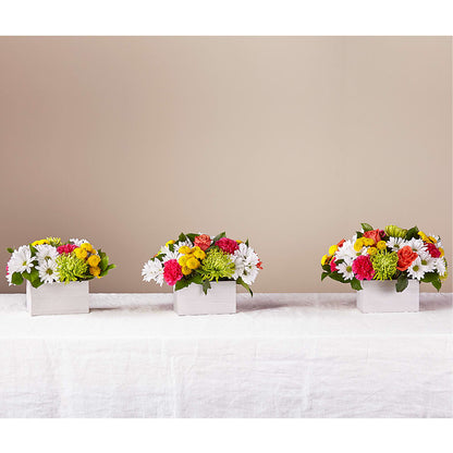 Sorbet Bouquet –  Babes Floral Design Llc, Old Fort NC