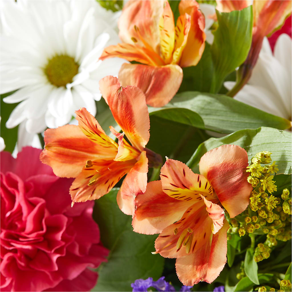 Oopsie Daisy Box Bouquet –  Babes Floral Design Llc, Old Fort NC