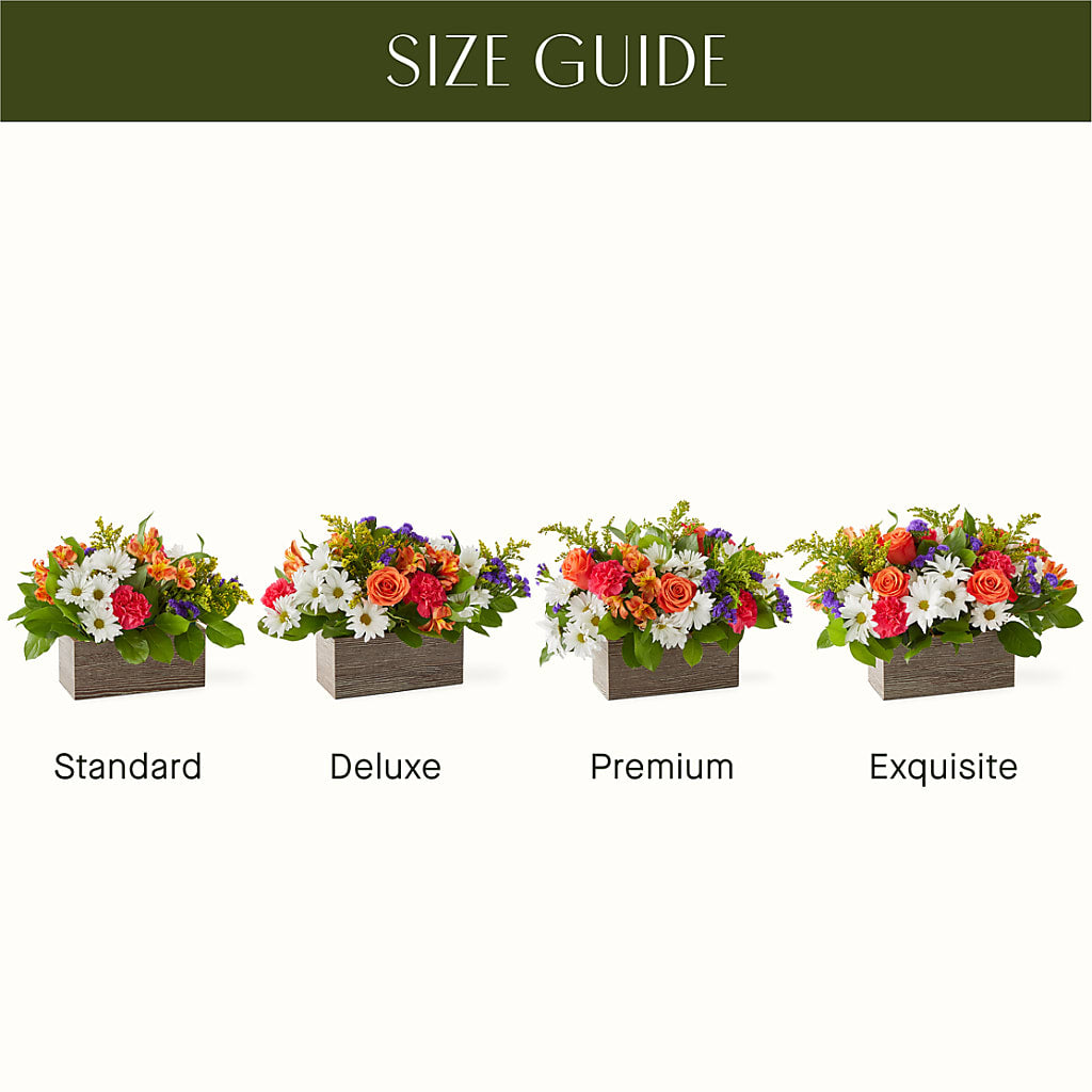 Oopsie Daisy Box Bouquet –  Babes Floral Design Llc, Old Fort NC