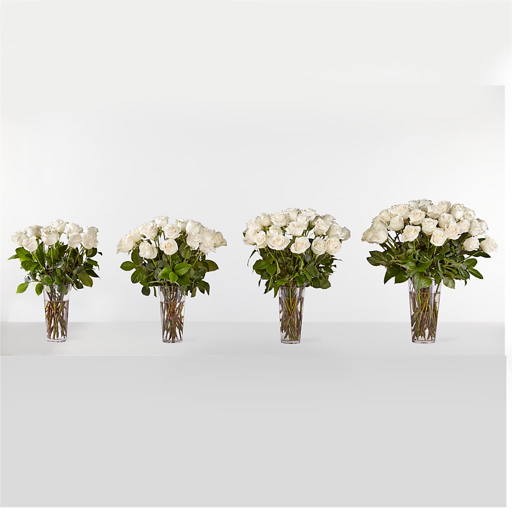Long Stem White Rose Bouquet –  Babes Floral Design Llc, Old Fort NC