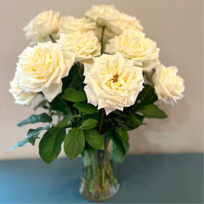 Long Stem Yellow Rose Bouquet –  Babes Floral Design Llc, Old Fort NC