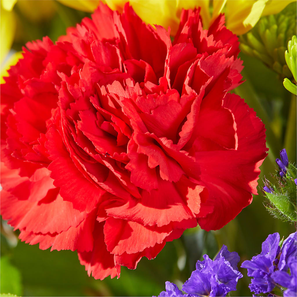 Brighter Days Bouquet –  Babes Floral Design Llc, Old Fort NC
