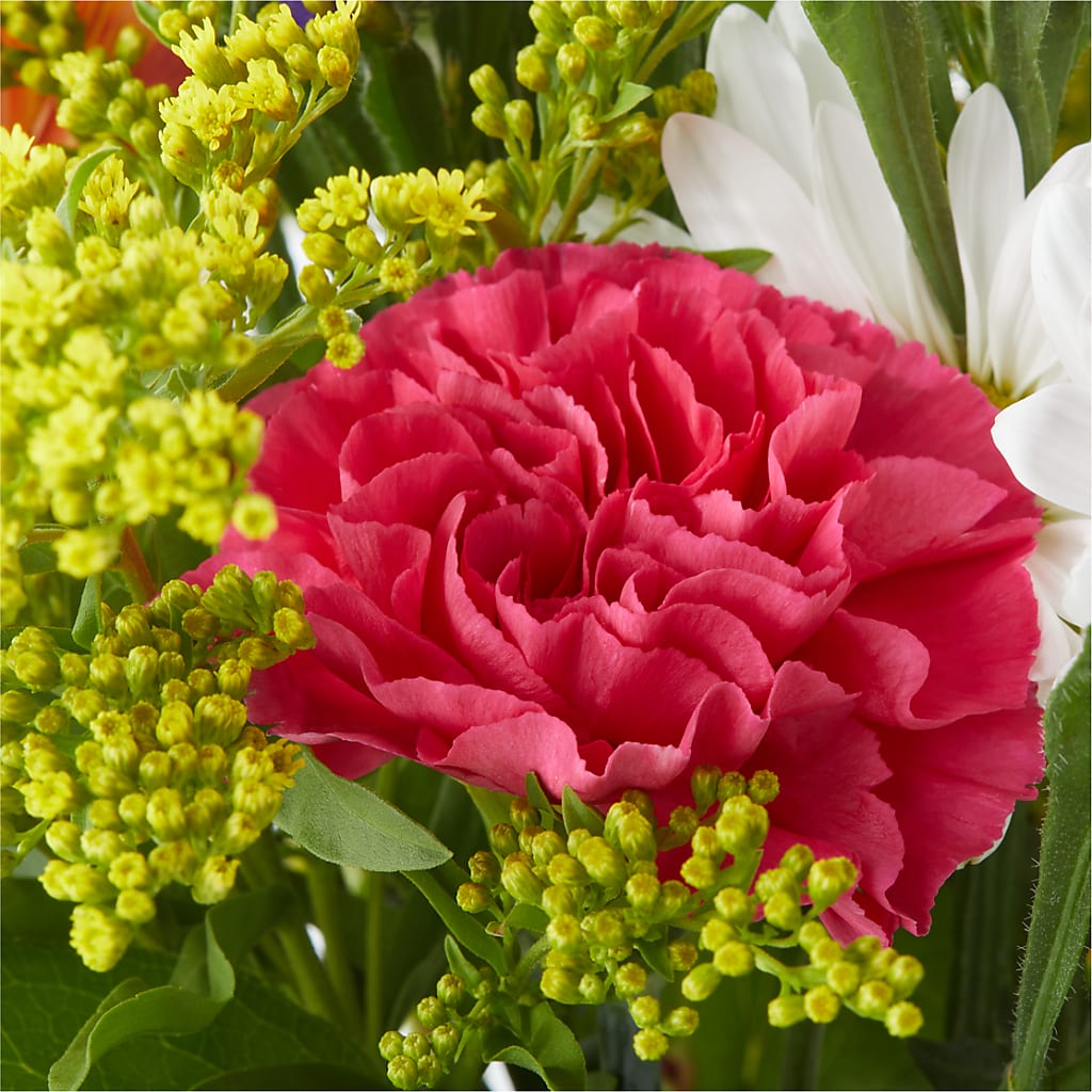 Oopsie Daisy Bouquet –  Babes Floral Design Llc, Old Fort NC