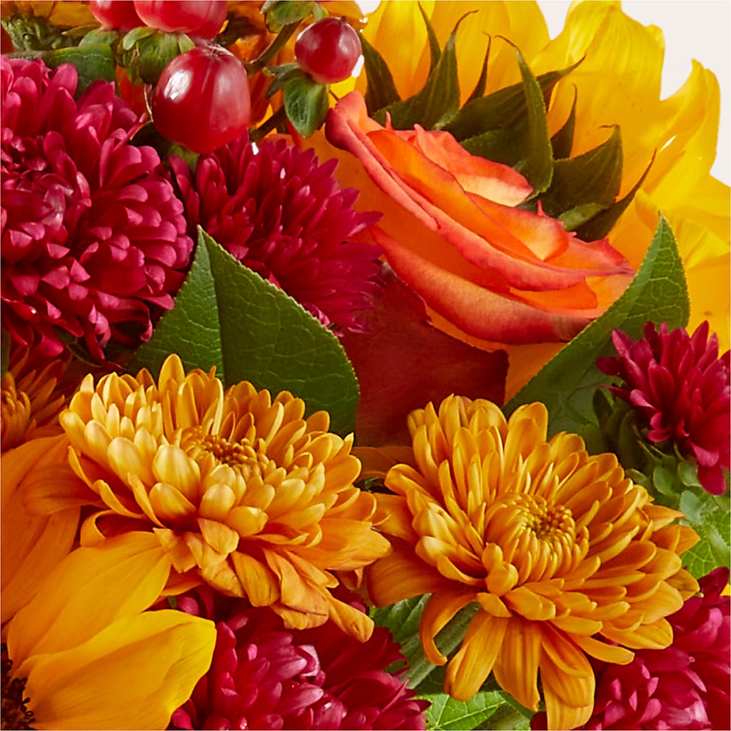 Sweater Season - A Florist Original –  Babes Floral Design Llc, Old Fort NC