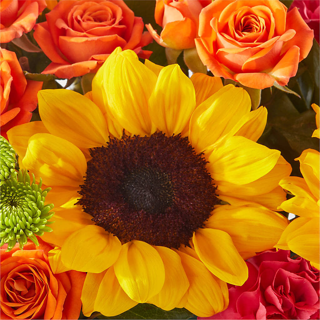 Sun-drenched Blooms Box Bouquet –  Babes Floral Design Llc, Old Fort NC