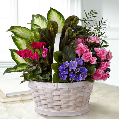 Peaceful Garden Planter –  Babes Floral Design Llc, Old Fort NC