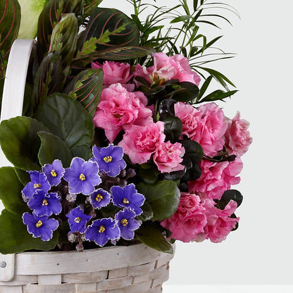 Peaceful Garden Planter –  Babes Floral Design Llc, Old Fort NC