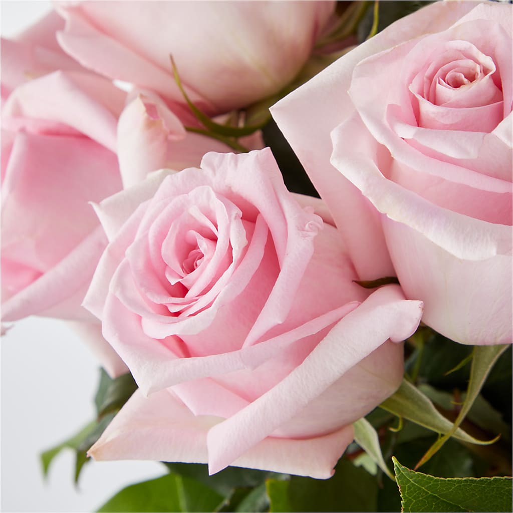 Picture Perfect Pink Rose Bouquet –  Babes Floral Design Llc, Old Fort NC