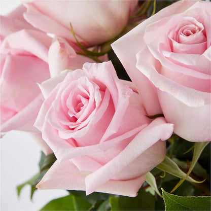 Picture Perfect Pink Rose Bouquet –  Babes Floral Design Llc, Old Fort NC