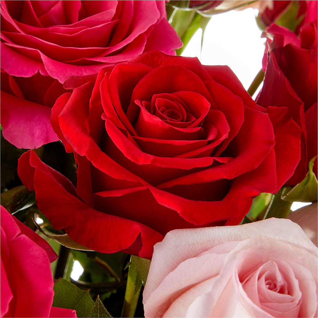 Love Notes Rose Bouquet –  Babes Floral Design Llc, Old Fort NC
