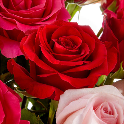 Love Notes Rose Bouquet –  Babes Floral Design Llc, Old Fort NC