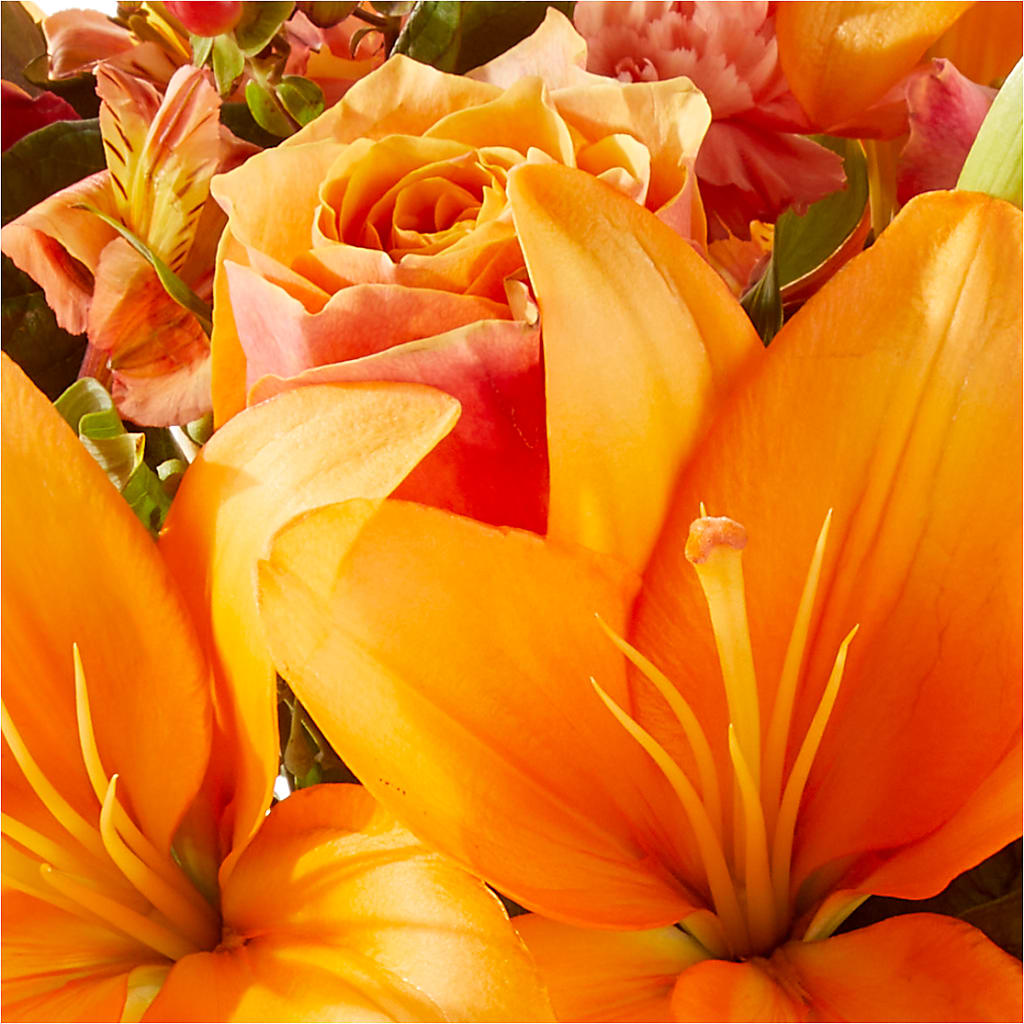 Afternoon Light Bouquet –  Babes Floral Design Llc, Old Fort NC