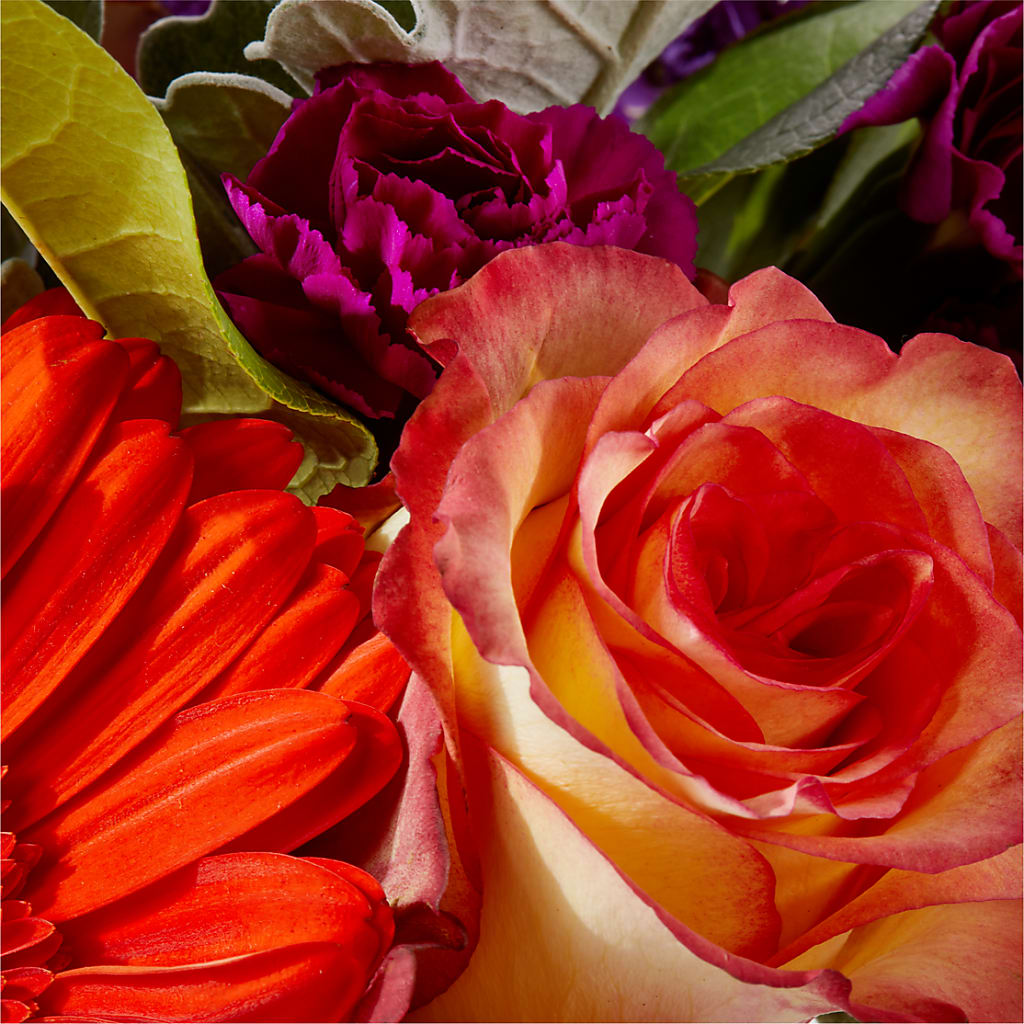 Sangria Bouquet –  Babes Floral Design Llc, Old Fort NC