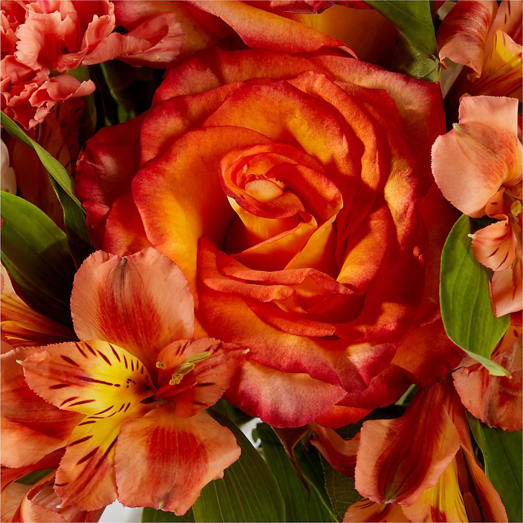 Apricot Glow Bouquet –  Babes Floral Design Llc, Old Fort NC