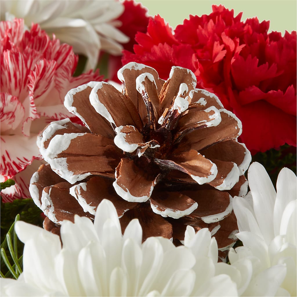 Candy Cane Lane Bouquet –  Babes Floral Design Llc, Old Fort NC