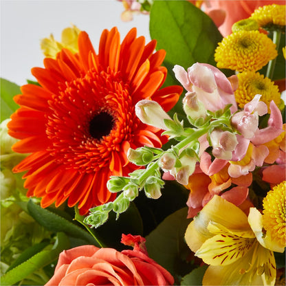 Autumn Sunshine Bouquet –  Babes Floral Design Llc, Old Fort NC