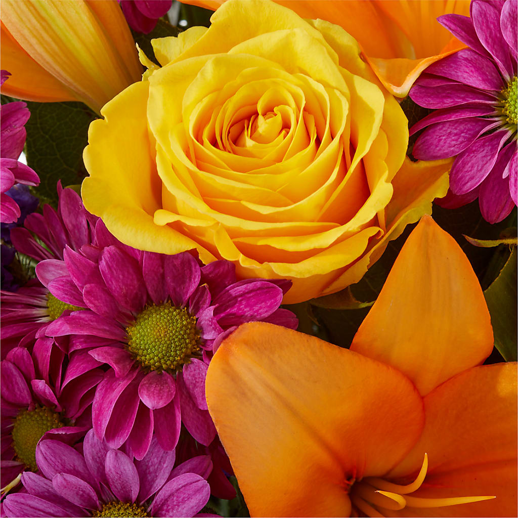 Colorful Visions Bouquet –  Babes Floral Design Llc, Old Fort NC
