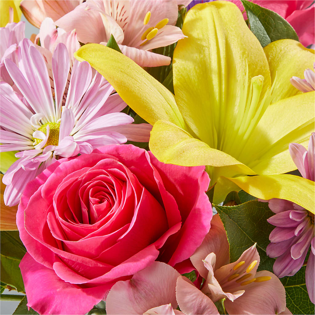 Sprinkles Bouquet –  Babes Floral Design Llc, Old Fort NC