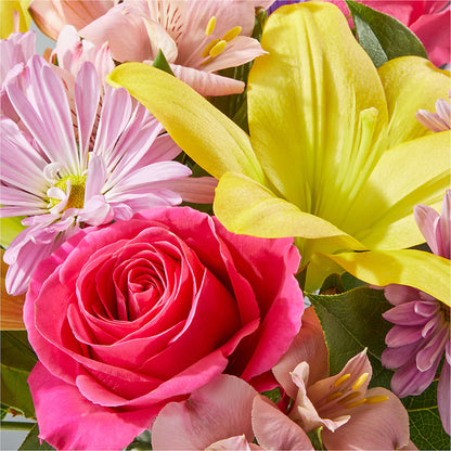 Sprinkles Bouquet –  Babes Floral Design Llc, Old Fort NC