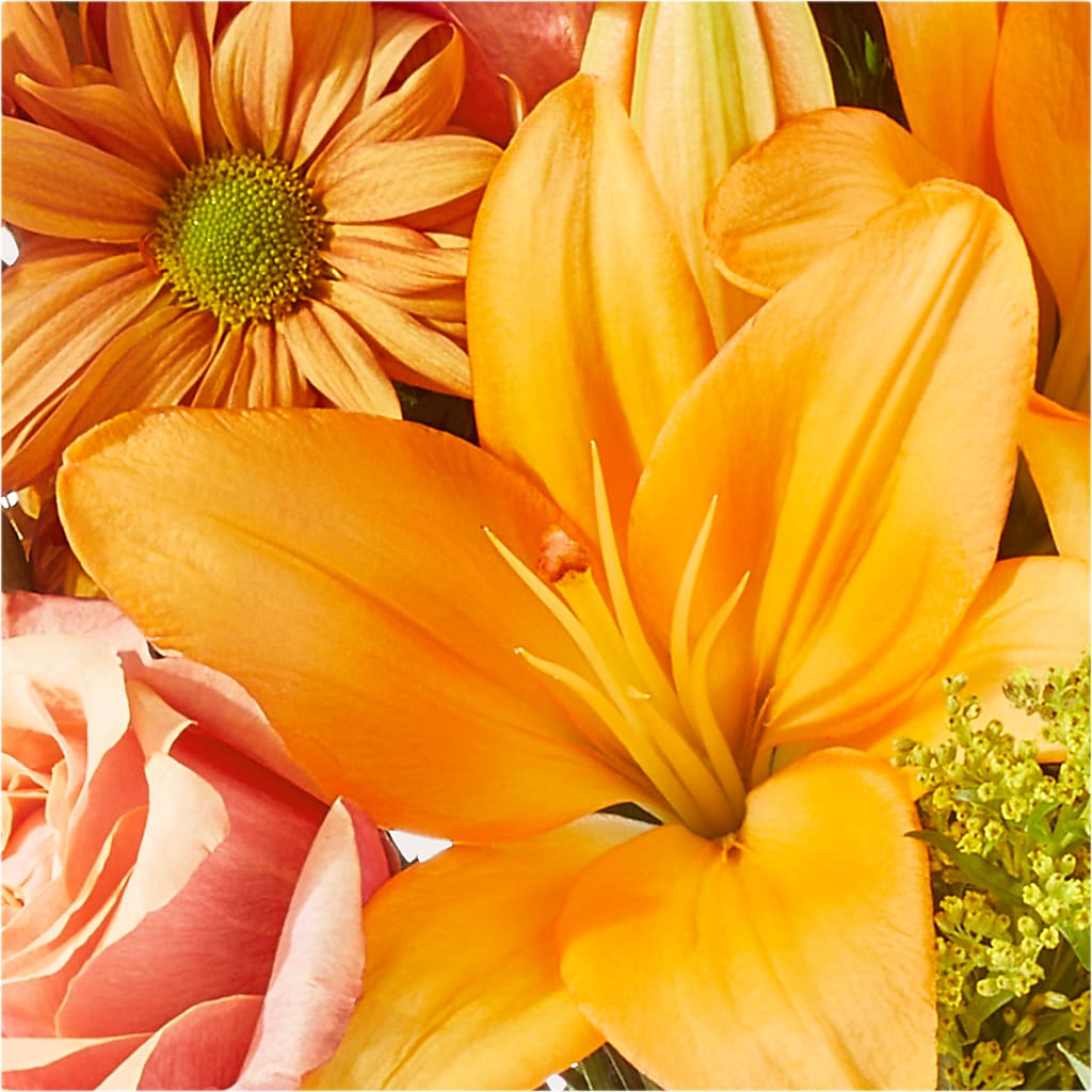 Harvest Hayride Bouquet –  Babes Floral Design Llc, Old Fort NC