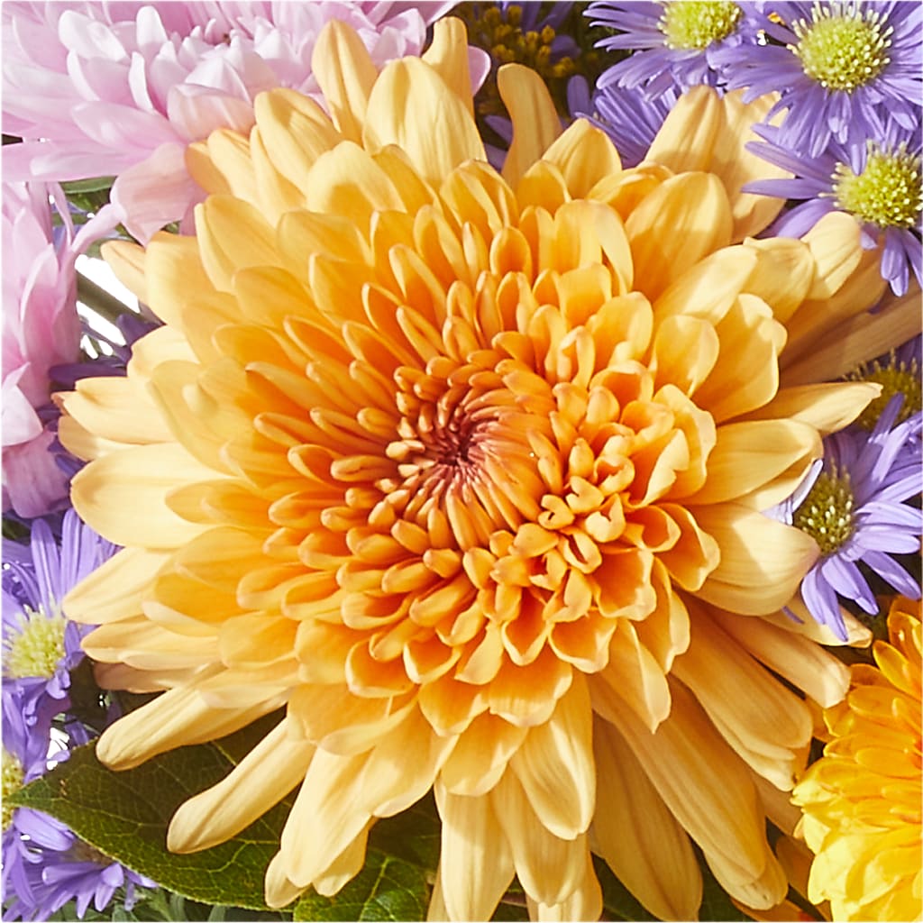 Countryside Bouquet –  Babes Floral Design Llc, Old Fort NC