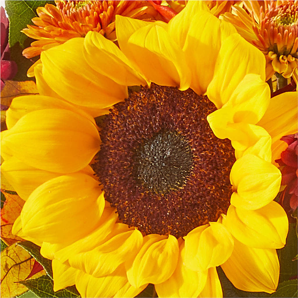 Sunny Side Bouquet –  Babes Floral Design Llc, Old Fort NC