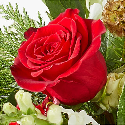 Deck the Halls Bouquet –  Babes Floral Design Llc, Old Fort NC