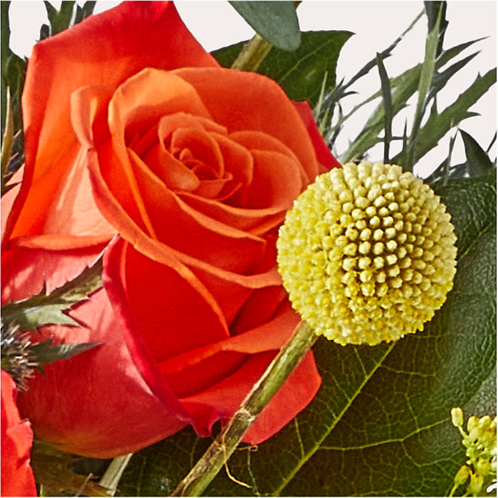Disco Bouquet –  Babes Floral Design Llc, Old Fort NC