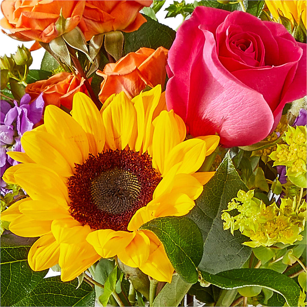 Vibrant Greetings Bouquet –  Babes Floral Design Llc, Old Fort NC