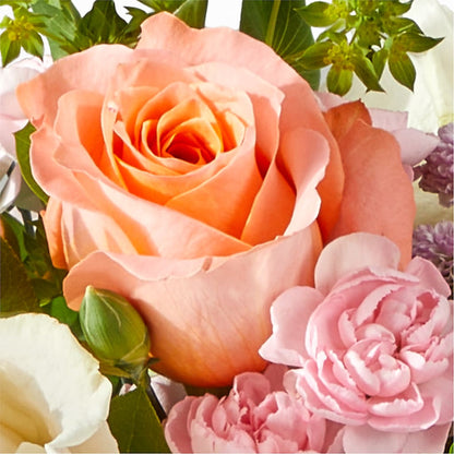 French Market Bouquet –  Babes Floral Design Llc, Old Fort NC