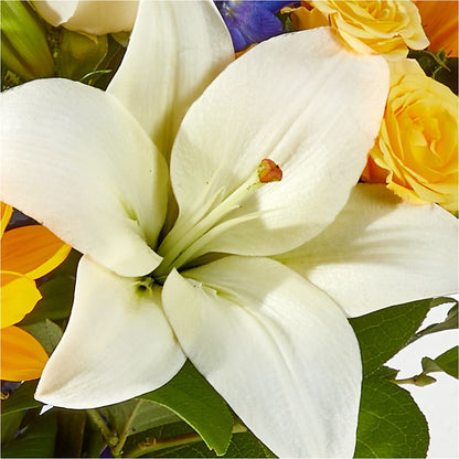 Wonderfully Sunny Bouquet –  Babes Floral Design Llc, Old Fort NC