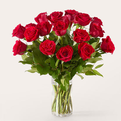 The One Red Rose Bouquet –  Babes Floral Design Llc, Old Fort NC